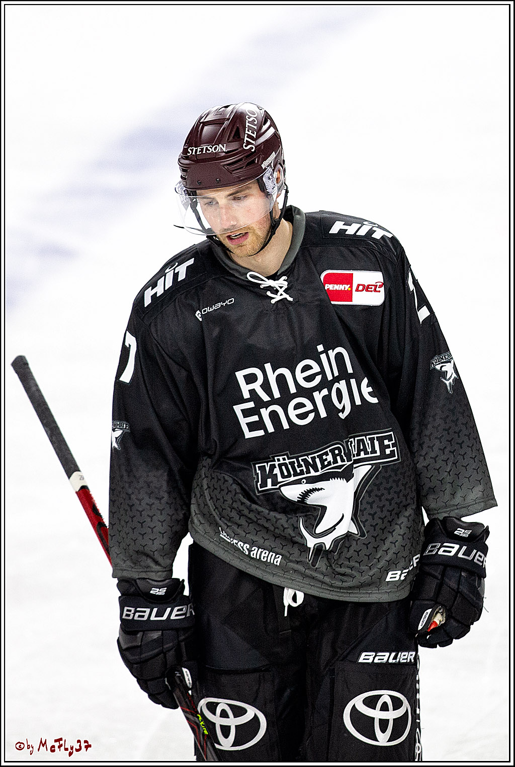 PENNY DEL;  Koelner Haie - Wolfsburg Grizzlys; Koeln, 17.03.2021